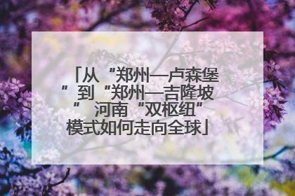 从“郑州—卢森堡”到“郑州—吉隆坡” 河南“双枢纽”模式如何走向全球