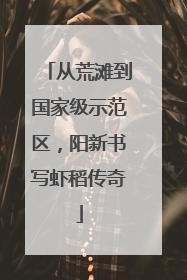 从荒滩到国家级示范区，阳新书写虾稻传奇