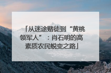 从迷途赌徒到“黄桃领军人”：肖石明的高素质农民蜕变之路