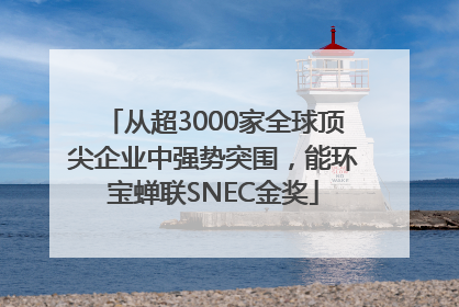 从超3000家全球顶尖企业中强势突围，能环宝蝉联SNEC金奖