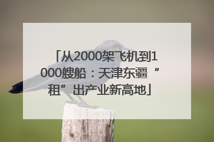 从2000架飞机到1000艘船：天津东疆“租”出产业新高地
