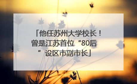 他任苏州大学校长！曾是江苏首位“80后”设区市副市长