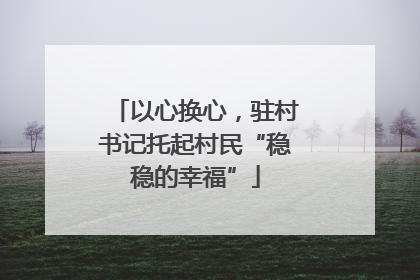 以心换心，驻村书记托起村民“稳稳的幸福”