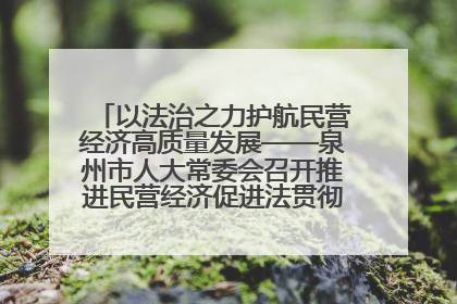 以法治之力护航民营经济高质量发展——泉州市人大常委会召开推进民营经济促进法贯彻实施座谈会