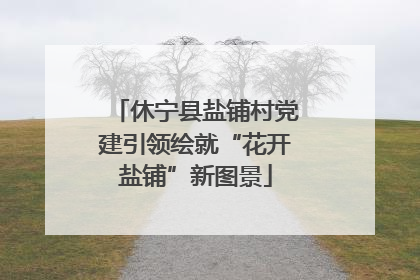 休宁县盐铺村党建引领绘就“花开盐铺”新图景