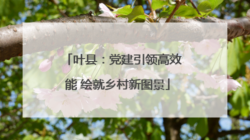 叶县：党建引领高效能 绘就乡村新图景