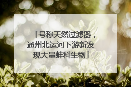 号称天然过滤器，通州北运河下游新发现大量蚌科生物