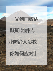 又到白蚁活跃期 池州专业防治人员教你如何应对