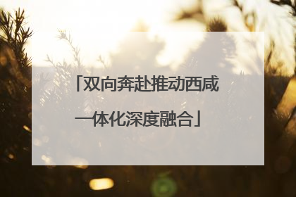 双向奔赴推动西咸一体化深度融合