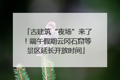 古建筑“夜场”来了！端午假期云冈石窟等景区延长开放时间