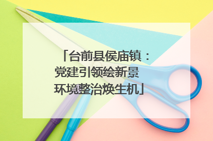 台前县侯庙镇：党建引领绘新景 环境整治焕生机