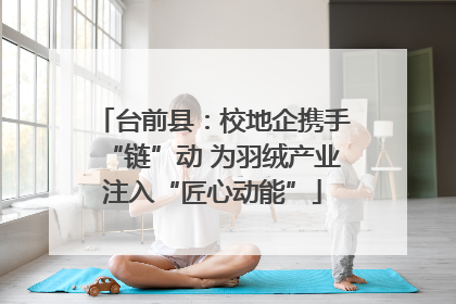 台前县：校地企携手“链”动 为羽绒产业注入“匠心动能”
