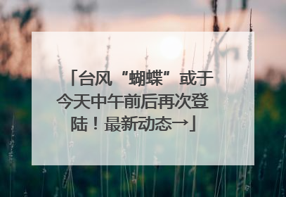台风“蝴蝶”或于今天中午前后再次登陆!最新动态→