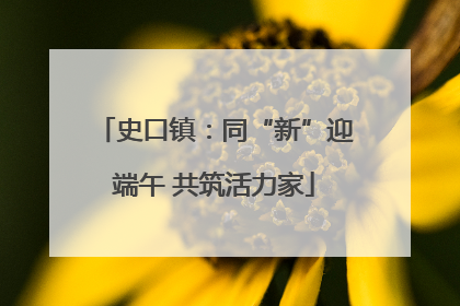 史口镇：同“新”迎端午 共筑活力家