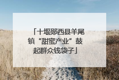 十堰郧西县羊尾镇“甜蜜产业”鼓起群众钱袋子