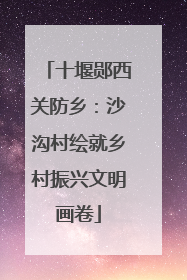 十堰郧西关防乡：沙沟村绘就乡村振兴文明画卷