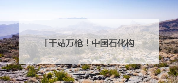 千站万枪！中国石化构建湖北绿色出行新格局