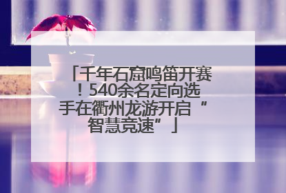 千年石窟鸣笛开赛！540余名定向选手在衢州龙游开启“智慧竞速”