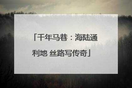 千年马巷：海陆通利地 丝路写传奇