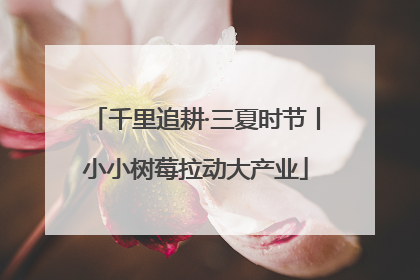 千里追耕·三夏时节丨小小树莓拉动大产业