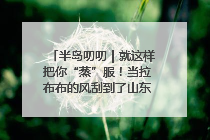 半岛叨叨｜就这样把你“蒸”服！当拉布布的风刮到了山东馒头界……