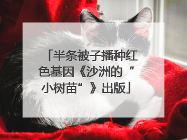 半条被子播种红色基因《沙洲的“小树苗”》出版