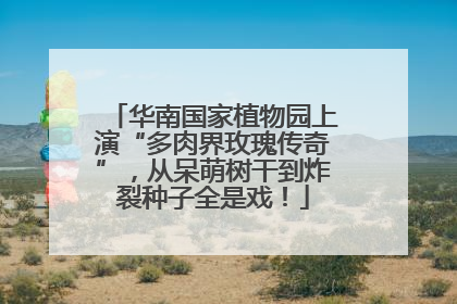 华南国家植物园上演“多肉界玫瑰传奇”，从呆萌树干到炸裂种子全是戏！