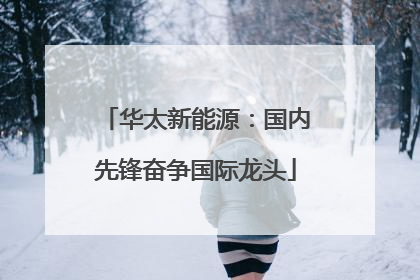华太新能源：国内先锋奋争国际龙头