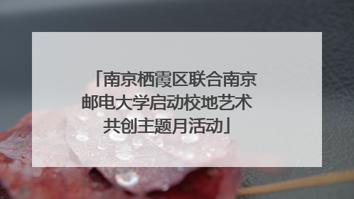 南京栖霞区联合南京邮电大学启动校地艺术共创主题月活动