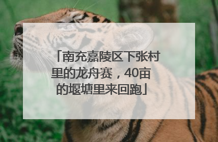 南充嘉陵区下张村里的龙舟赛，40亩的堰塘里来回跑
