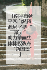 南平市延平区自然资源局坚持“三聚力” 助力擎画集体林权改革“新图景”