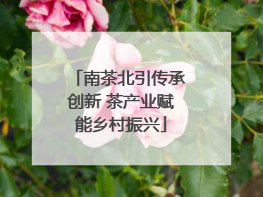 南茶北引传承创新 茶产业赋能乡村振兴