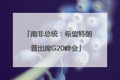 南非总统：希望特朗普出席G20峰会