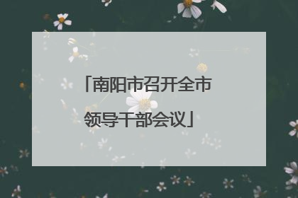 南阳市召开全市领导干部会议