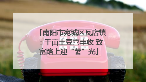 南阳市宛城区瓦店镇：千亩土豆喜丰收 致富路上迎“薯”光