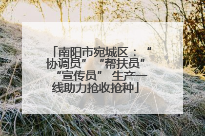 南阳市宛城区：“协调员”“帮扶员”“宣传员” 生产一线助力抢收抢种