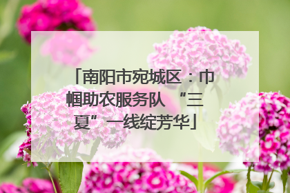 南阳市宛城区：巾帼助农服务队 “三夏”一线绽芳华