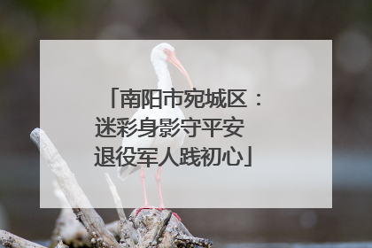 南阳市宛城区：迷彩身影守平安 退役军人践初心