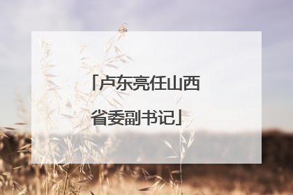 卢东亮任山西省委副书记
