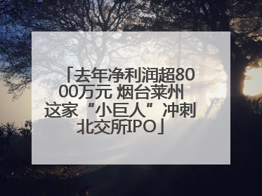 去年净利润超8000万元 烟台莱州这家“小巨人”冲刺北交所IPO
