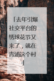 去年引爆社交平台的绣球花节又来了，就在青浦这个村