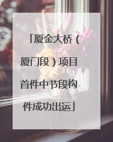 厦金大桥（厦门段）项目首件中节段构件成功出运