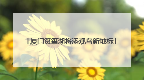 厦门筼筜湖将添观鸟新地标