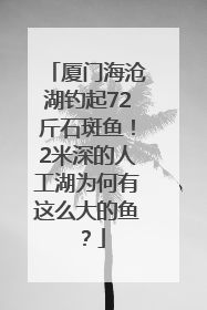 厦门海沧湖钓起72斤石斑鱼！2米深的人工湖为何有这么大的鱼？