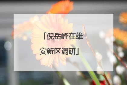 倪岳峰在雄安新区调研