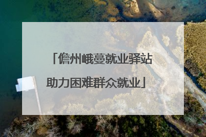 儋州峨蔓就业驿站助力困难群众就业
