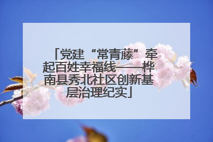 党建“常青藤”牵起百姓幸福线——桦南县秀北社区创新基层治理纪实