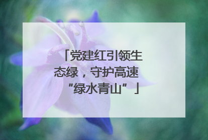 党建红引领生态绿，守护高速“绿水青山”