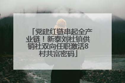 党建红链串起全产业链！新泰刘杜镇供销社双向任职激活8村共富密码