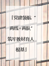 党建领航“两线+两队”筑牢教材育人根基